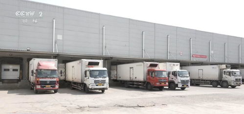 冷链物流 让“鲜起来”的农产品运得出、卖得好